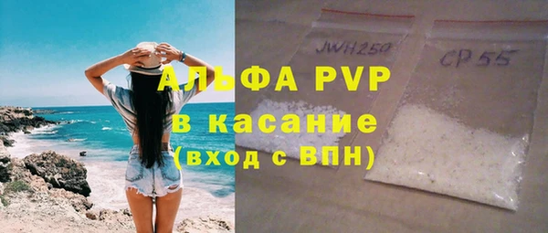 прущие грибы Инсар