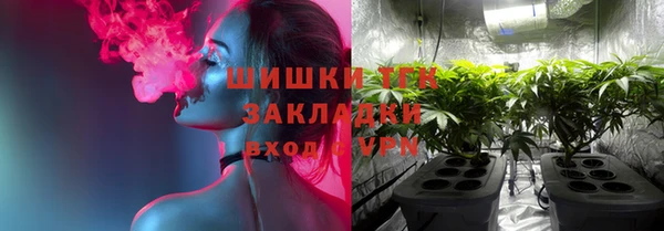 прущие грибы Инсар