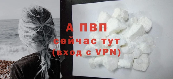 прущие грибы Инсар