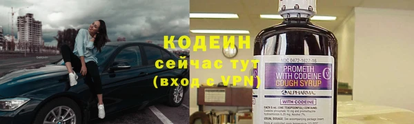 прущие грибы Инсар