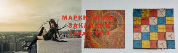 прущие грибы Инсар