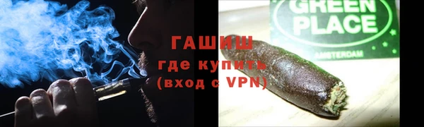 прущие грибы Инсар