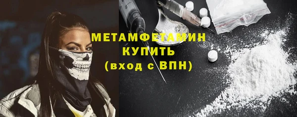 прущие грибы Инсар