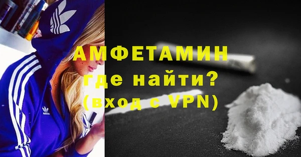 прущие грибы Инсар