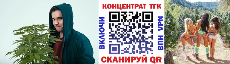 Купить  Красково  Дистиллят ТГК гашишное масло 