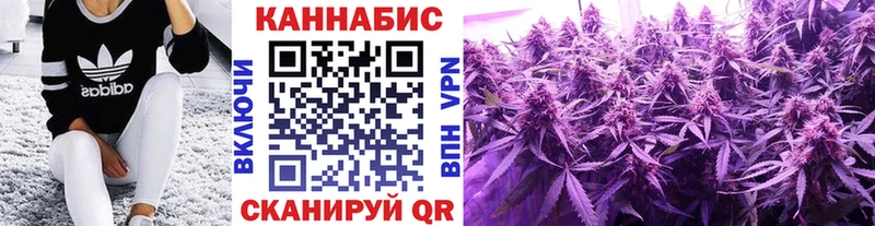 Бошки марихуана Amnesia  Купить закладки  Красково 